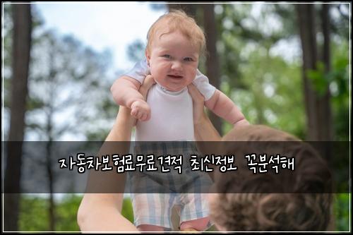 자동차보험료무료견적 최신정보 꼭분석해
