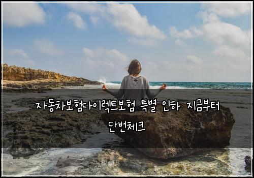 자동차보험다이렉트보험 특별 인하 지금부터 단번체크