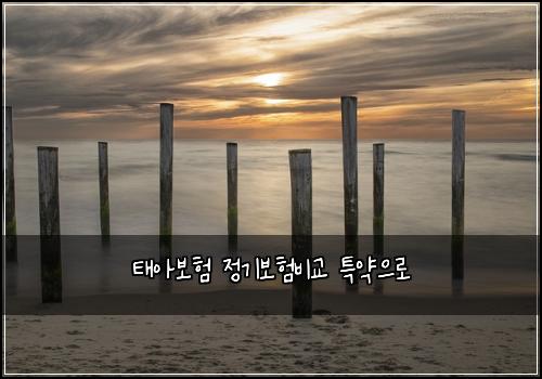 ํ์๋ณดํ ์ ๊ธฐ๋ณดํ๋น๊ต ํน์ฝ์ผ๋ก