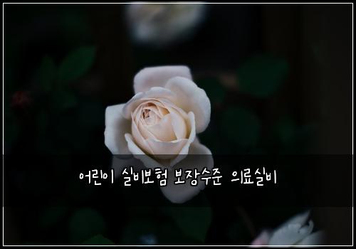 어린이 실비보험 보장수준  의료실비