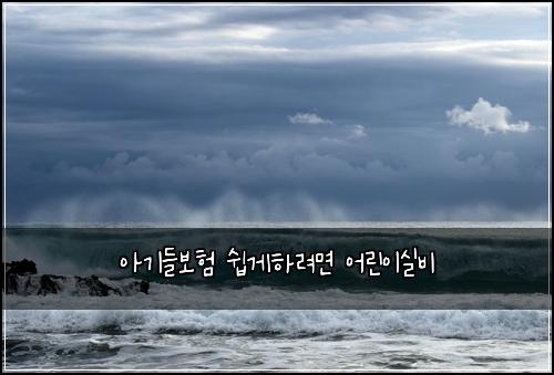 아기들보험 쉽게하려면  어린이실비