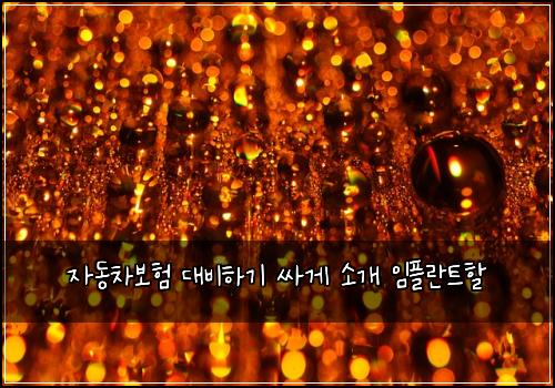 자동차보험 대비하기  싸게 소개 임플란트할