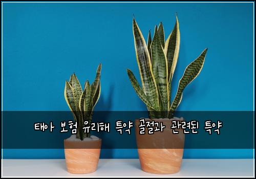 태아 보험 유리해  특약 골절과 관련된 특약