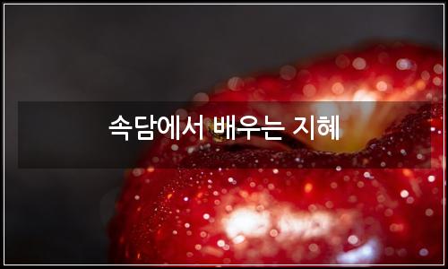 오늘의 이미지