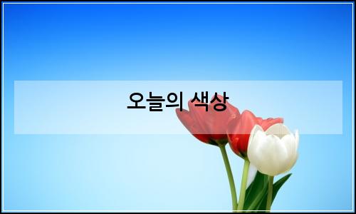 오늘의 이미지