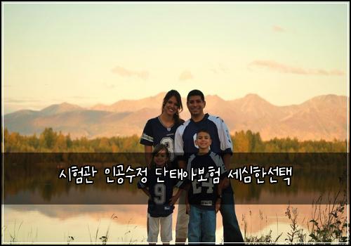 시험관 인공수정 단태아보험 세심한선택 