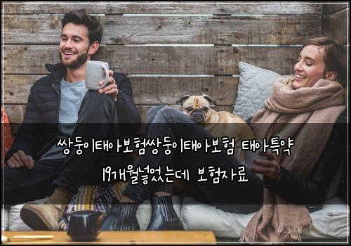 쌍둥이태아보험쌍둥이태아보험 태아특약 19개월넣었는데 보험자료