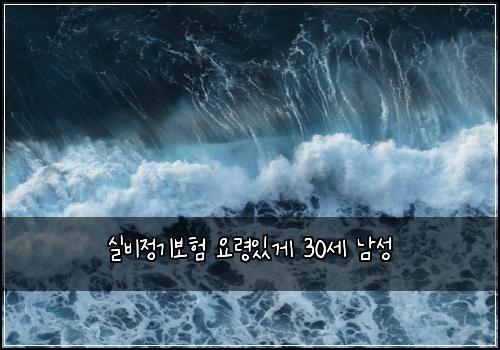 실비정기보험 요령있게  30세 남성