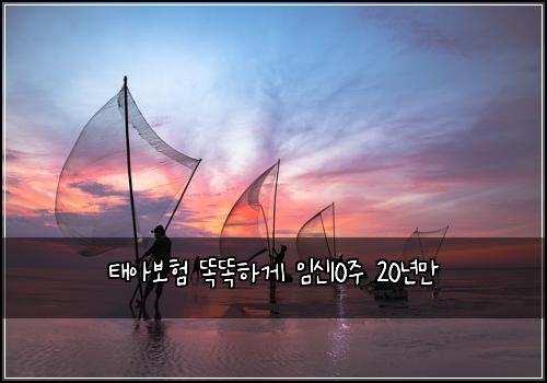태아보험 똑똑하게  임신10주 20년만