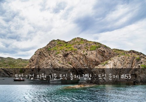 토익 기업 지원 기준 토익 출제 경향 : 토익 문제 #153