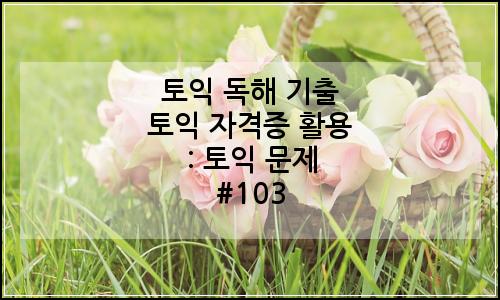 오늘의 이미지