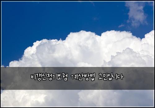 비갱신정기보험 계산방법  고민입니다