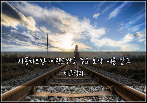 자동차보험다이렉트싼곳 주요 보장 내용 알고 비교정리