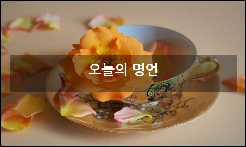 오늘의 이미지
