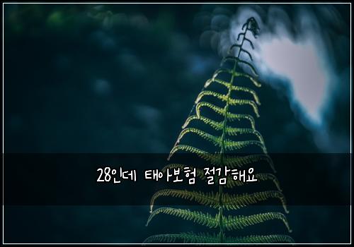 28μΈλ° νμ보ν μ κ°ν΄μ