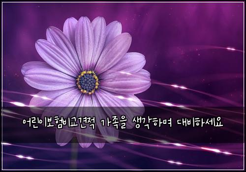 어린이보험비교견적 가족을 생각하며 대비하세요