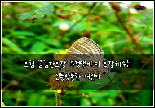 보험 꼼꼼한보장  부정맥까지 보장해주는 신통방통한 어린이