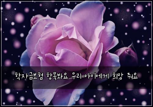 학자금보험 항목봐요  우리 아이에게 희망 줘요