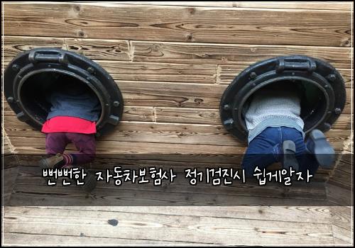 뻔뻔한 자동차보험사 정기검진시 쉽게알자