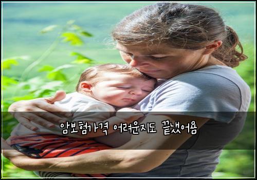 ์๋ณดํ๊ฐ๊ฒฉ ์ด๋ ค์ด์ง๋ ๋๋์ด์ค