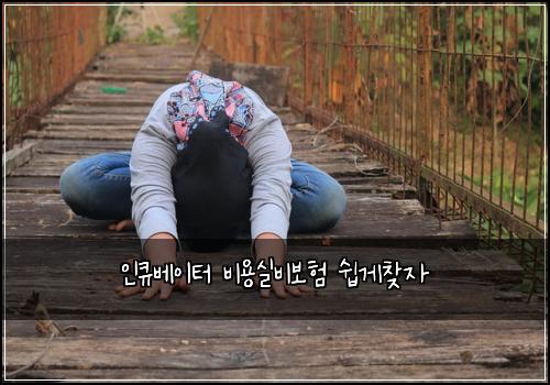 인큐베이터 비용실비보험 쉽게찾자 
