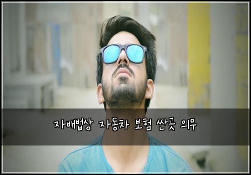 ์๋ฐฐ๋ฒ์ ์๋์ฐจ ๋ณดํ ์ผ๊ณณ ์๋ฌด