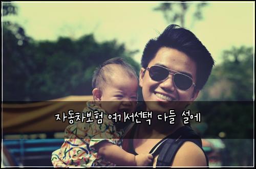 자동차보험 여기서선택  다들 설에