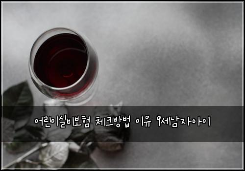 ์ด๋ฆฐ์ด์ค๋น๋ณดํ ์ฒดํฌ๋ฐฉ๋ฒ ์ด์ 9์ธ๋จ์์์ด