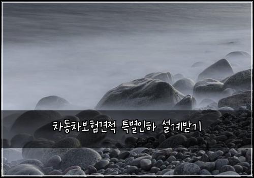 μ°¨λ차보ν견μ νΉλ³μΈν μ€κ³λ°κΈ°