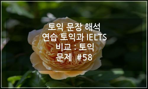 오늘의 이미지