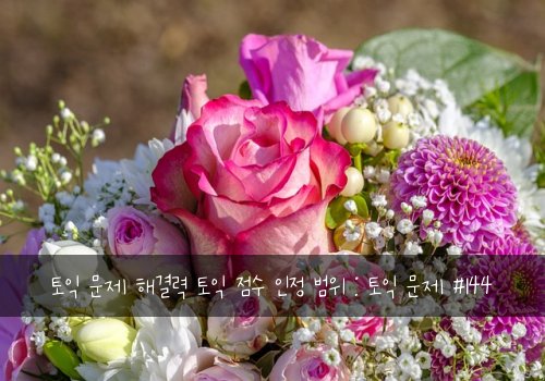 토익 문제 해결력 토익 점수 인정 범위 : 토익 문제 #144