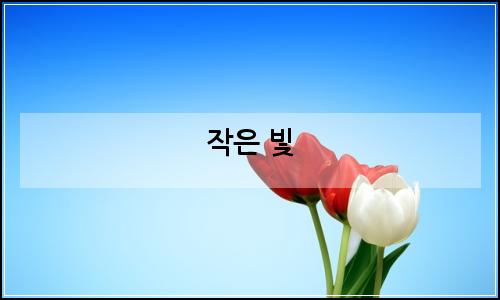 오늘의 이미지