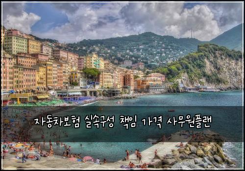 자동차보험 실속구성  책임 가격 사무원플랜