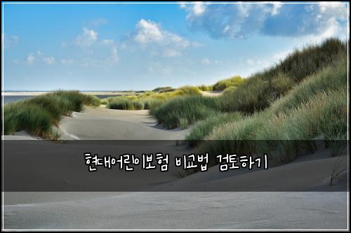 현대어린이보험 비교법  검토하기