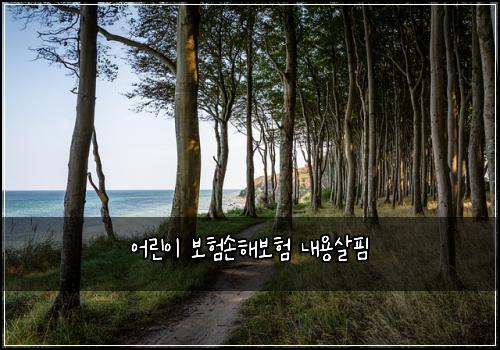 어린이 보험손해보험 내용살핌
