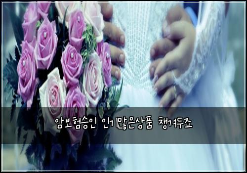 암보험승인 인기많은상품 챙겨두죠