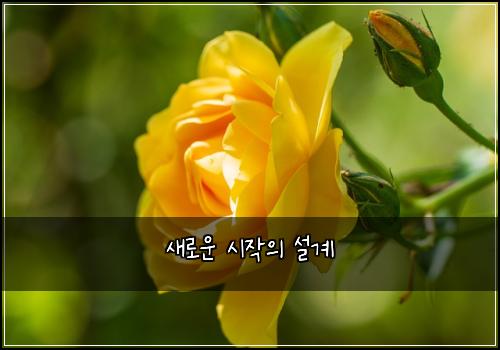 새로운 시작의 설계