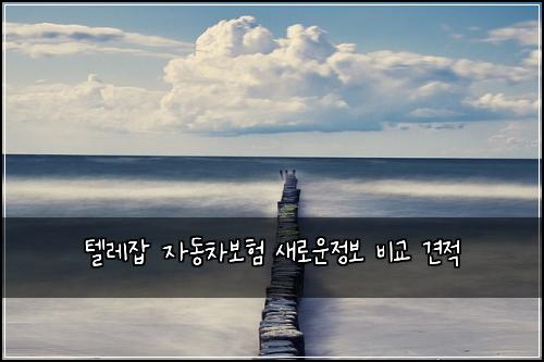 텔레잡 자동차보험 새로운정보  비교 견적
