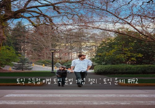 토익 고득점 비법 토익 문법 개념 정리 : 토익 문제 #142