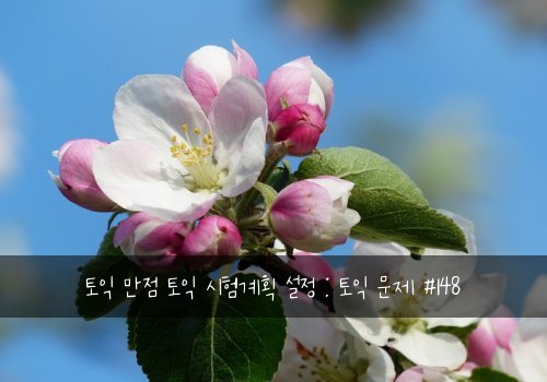 토익 만점 토익 시험계획 설정 : 토익 문제 #148