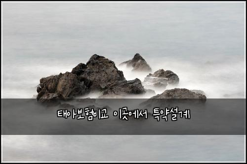태아보험비교 이곳에서 특약설계