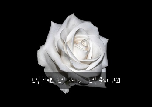 토익 난이도 토익 라이팅 : 토익 문제 #121