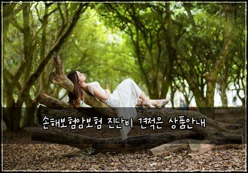 손해보험암보험 진단비 견적은 상품안내