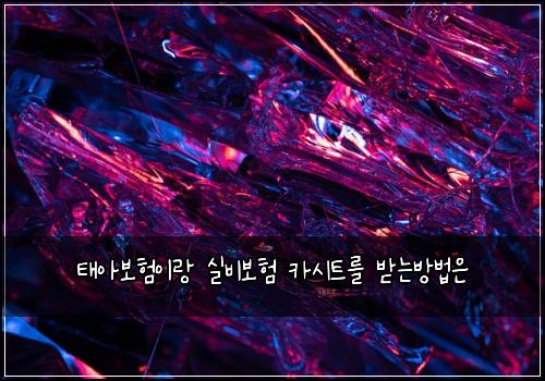 태아보험이랑 실비보험 카시트를 받는방법은