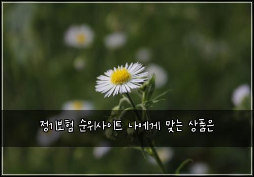 정기보험 순위사이트  나에게 맞는 상품은