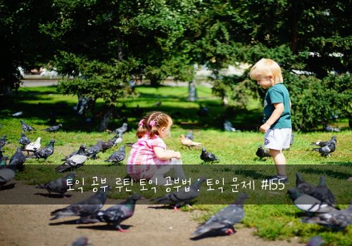 토익 공부 루틴 토익 공부법 : 토익 문제 #155