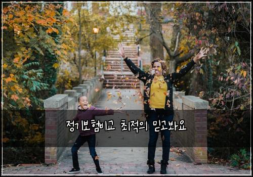정기보험비교 최적의 믿고봐요