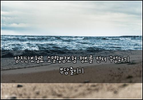 암진단보험료 소멸형암보험 정보를 먼저 구성하기 부담줄이기