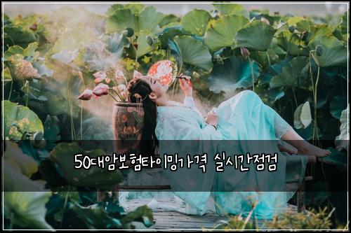 50대암보험타이밍가격 실시간점검