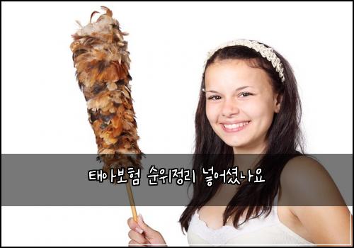 태아보험 순위정리  넣어셨나요